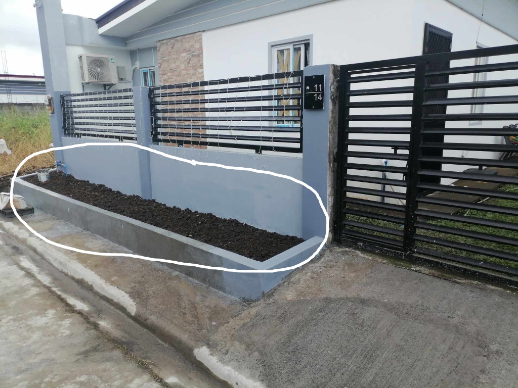 Plantbox Highlighted