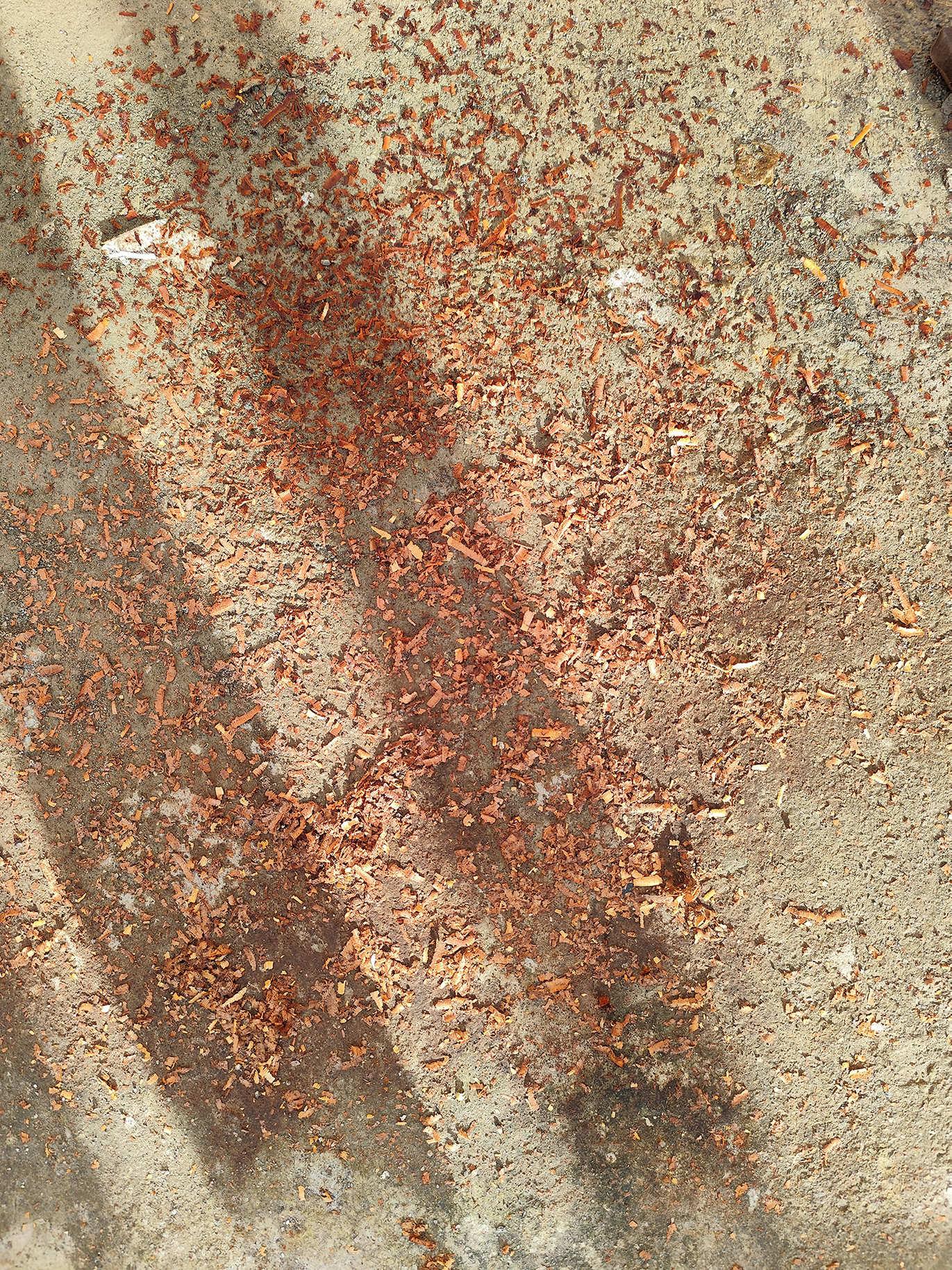 Sagging door repair project